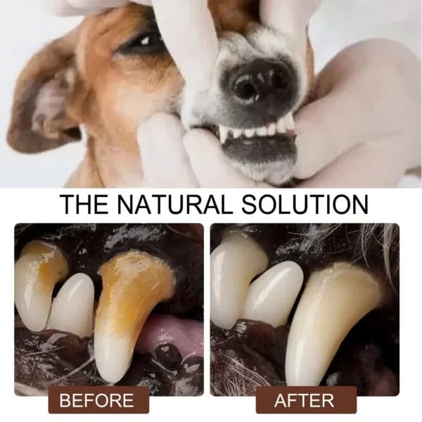 Dog Clippers: Oral Care Spray for Fresh Breath - Image 5