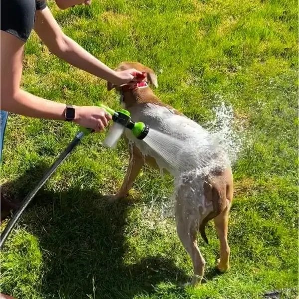 Dog Clippers: 3-Mode Adjustable Shower Sprayer - Image 3