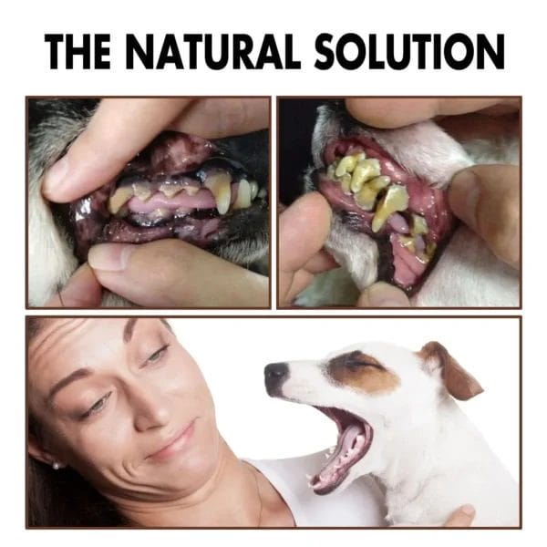 Dog Clippers: Oral Care Spray for Fresh Breath - Image 4